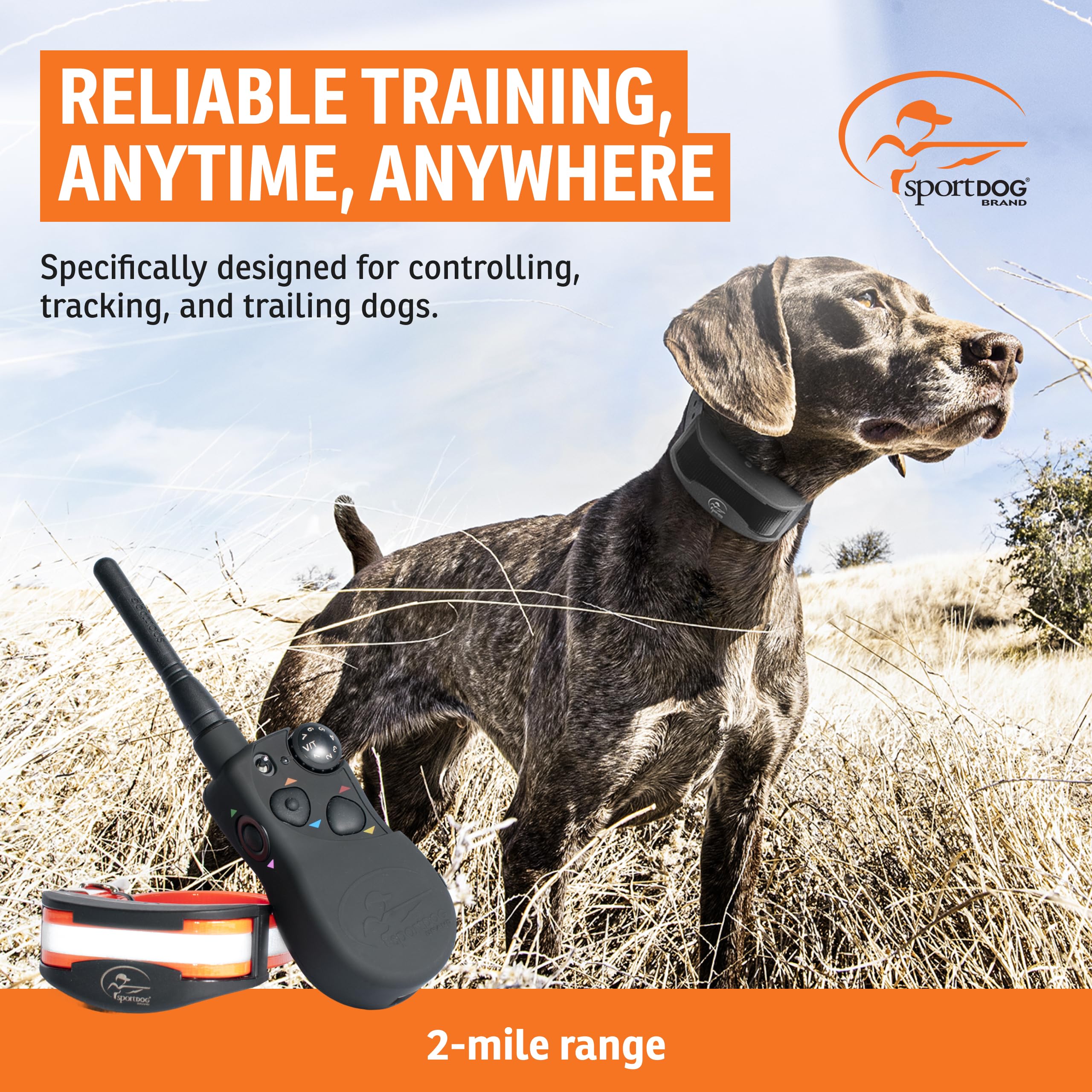 Amazon.com: SportDOG HoundHunter 3225 Remote Trainer System with